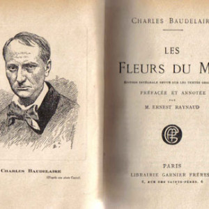 derecho-palabristas-33