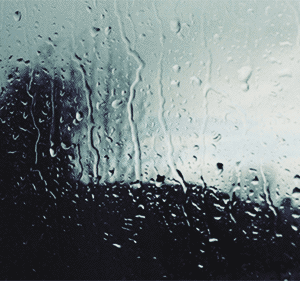 tumblr_static_tumblr_static_a4hwvy5mxgggokk0w48cc8occ_640