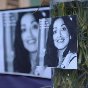 Captura-de-pantalla-2015-08-10-a-las-18.07.01