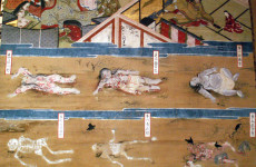 KONICA MINOLTA DIGITAL CAMERA