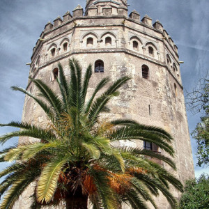 torre-del-oro550-001