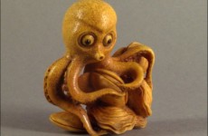 51-octopus-1-470x350