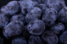 comida-sana--ciruelas--jugo-de-ciruelas--de-tomar-las-comidas_399194