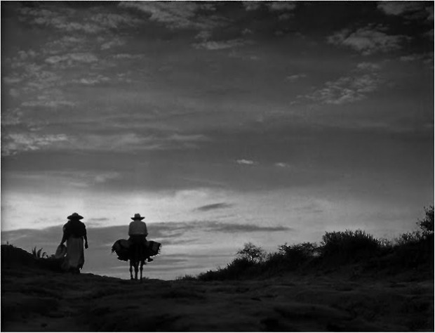 tumblr_maehg7HpDD1rsolqro1_1280