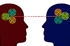 61e92d4f-2c2c-41b7-97a6-607525cd5e83