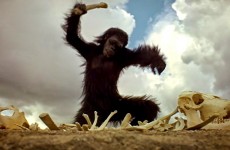 2001 Una odisea en el espacio (1968)_2001 a space odyssey_Mono hueso_Ape bone_Zarathustra