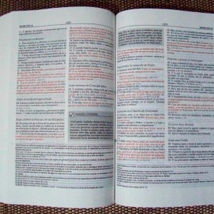 biblia-plenitud_iZ88XvZxXpZ5XfZ141121311-425590385-5.jpgXsZ141121311xIM