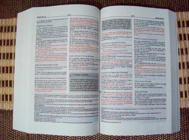 biblia-plenitud_iZ88XvZxXpZ5XfZ141121311-425590385-5.jpgXsZ141121311xIM