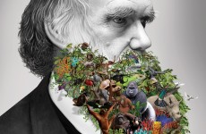 03 Darwin en México.