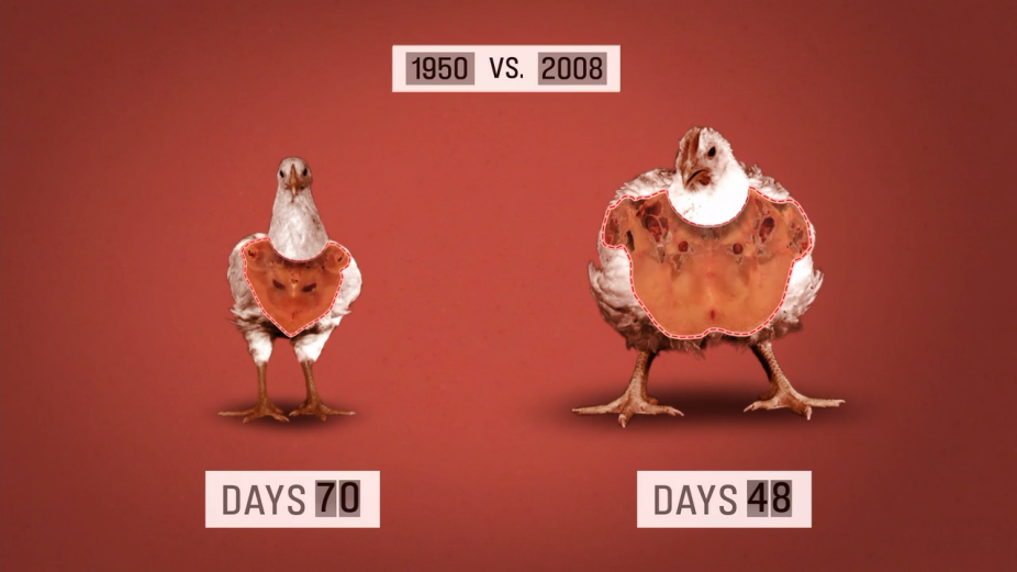 Escena del documental Food Inc.