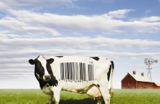 food-inc-poster
