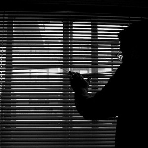 6a0120a85dcdae970b0120a86dd099970b-pi