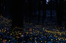 20130614_output_hd_cocolog-alternopolis-8-1200x520