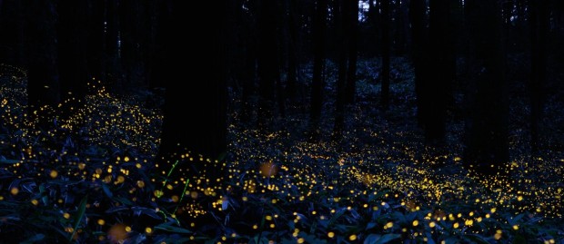 20130614_output_hd_cocolog-alternopolis-8-1200x520