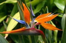 68ed3551a4969ad5d7c7990d5050b38b