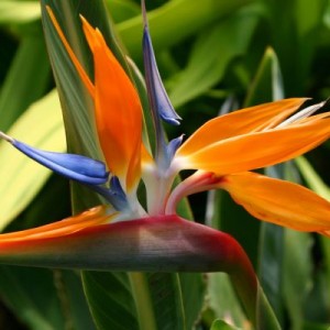 68ed3551a4969ad5d7c7990d5050b38b