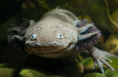 Captura-de-pantalla-2015-03-22-a-las-19.53.21
