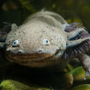 Captura-de-pantalla-2015-03-22-a-las-19.53.21