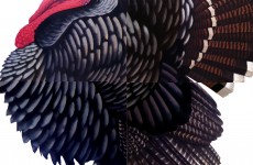 02 Huaxólotl, en exposición Paradiso_