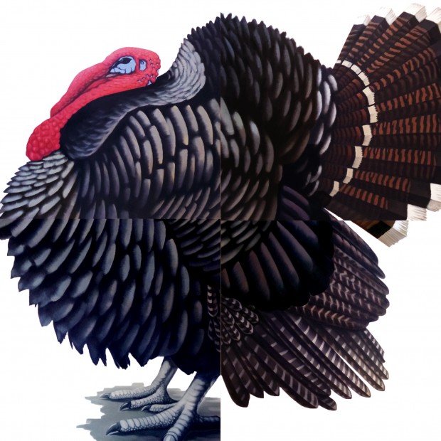 02 Huaxólotl, en exposición Paradiso_