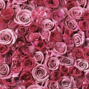 large pattern of pink roses