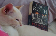 01 Soren, el gato del autor_