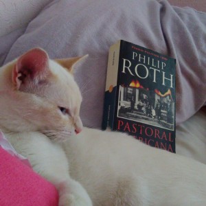 01 Soren, el gato del autor_