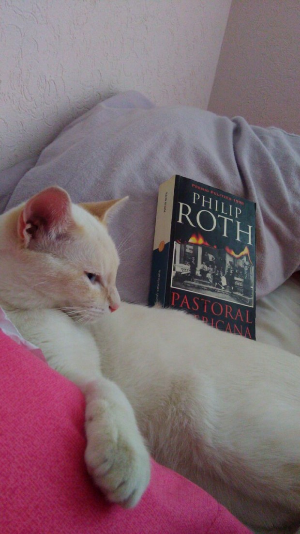 01 Soren, el gato del autor_