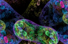 shutterstock_214968889-864x400_c