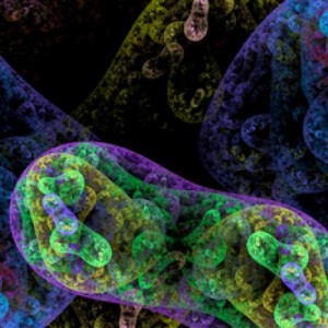 shutterstock_214968889-864x400_c