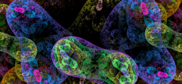 shutterstock_214968889-864x400_c