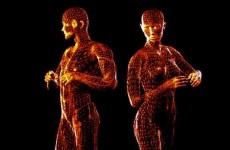 wire_frame_body_model_image