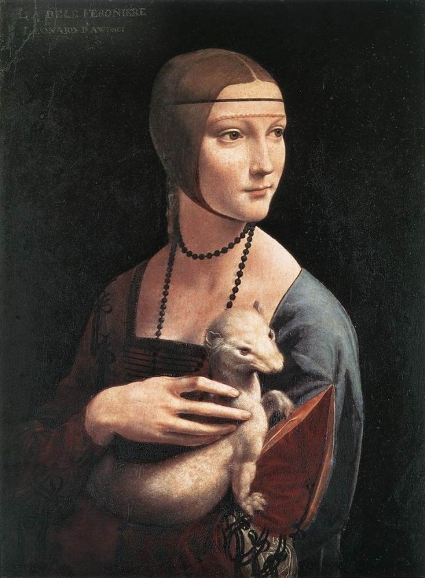 84950f97e93eb46e5fee84be9a38bf60--lady-with-an-ermine-leonardo-da-vinci-portrait