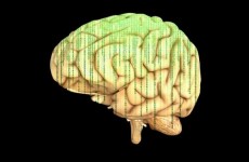 artificial-intelligence-cyberspace-brain-matrix_-_maxpixel.freegreatpicture.com_