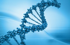 c07bf668-5b1c-4d0f-bbe6-f5d4c8625dcb