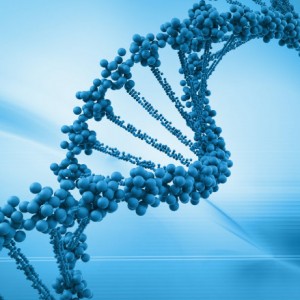 c07bf668-5b1c-4d0f-bbe6-f5d4c8625dcb