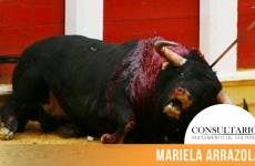 CINTILLO_BLOG-22 (4)