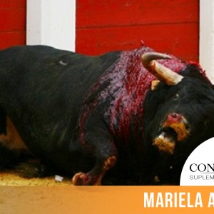 CINTILLO_BLOG-22 (4)