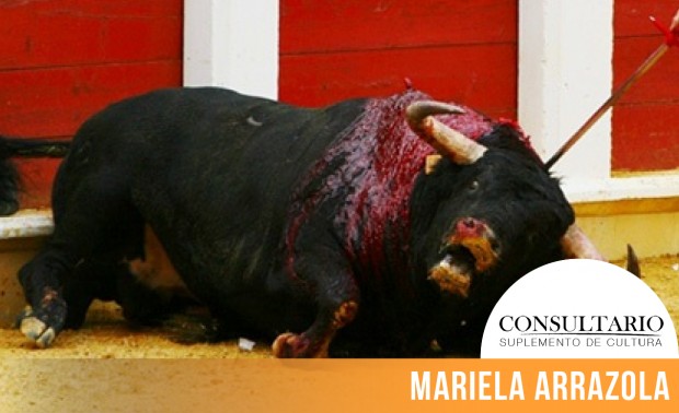 CINTILLO_BLOG-22 (4)