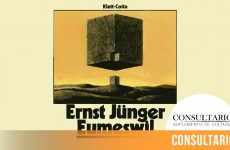 CINTILLO_BLOG-23 (5)