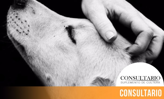 CINTILLO_BLOG-24 (3)