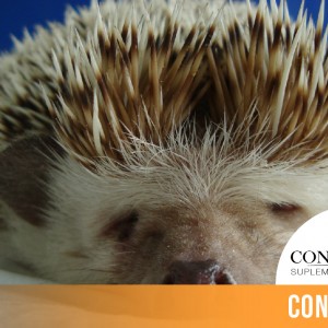 CINTILLO_BLOG-25 (3)