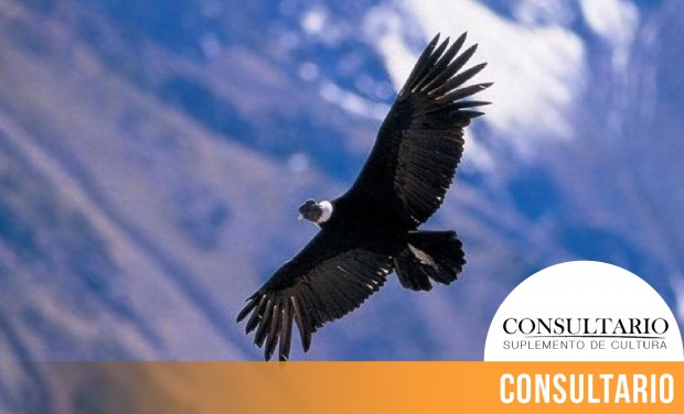 CINTILLO_BLOG-26 (1)