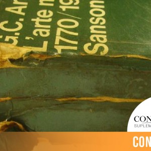 CINTILLO_BLOG-26 (3)