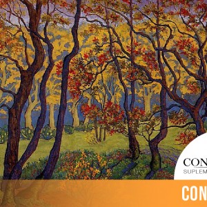 CINTILLO_BLOG-25 (3)