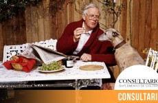 CINTILLO_BLOG-26 (1)