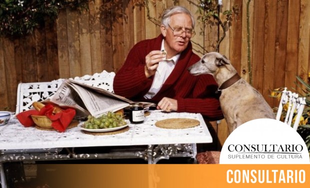 CINTILLO_BLOG-26 (1)