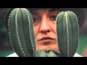 02 REPOSICION Helia Bravo Hollis.