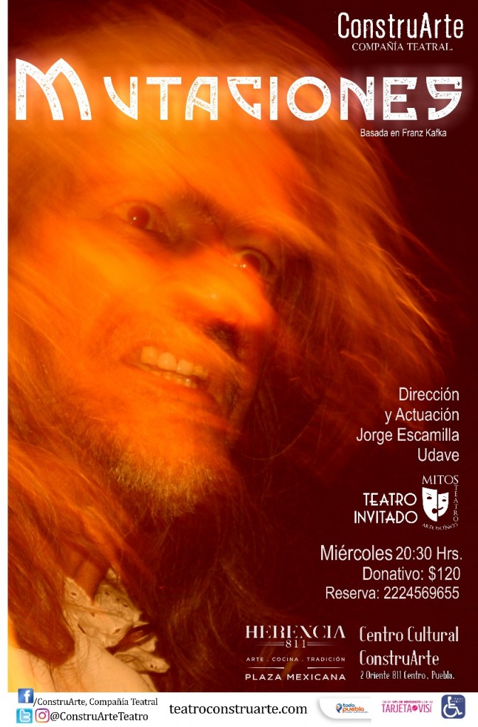 02 Para el Informe a una Academia.