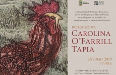 01 Imagen de Carolina O'Farril